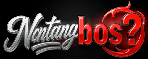 apk nantang bos nantang bos