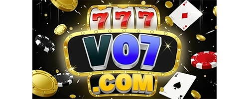 link v 07 v 07
